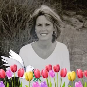 Meet your Posher, Doris